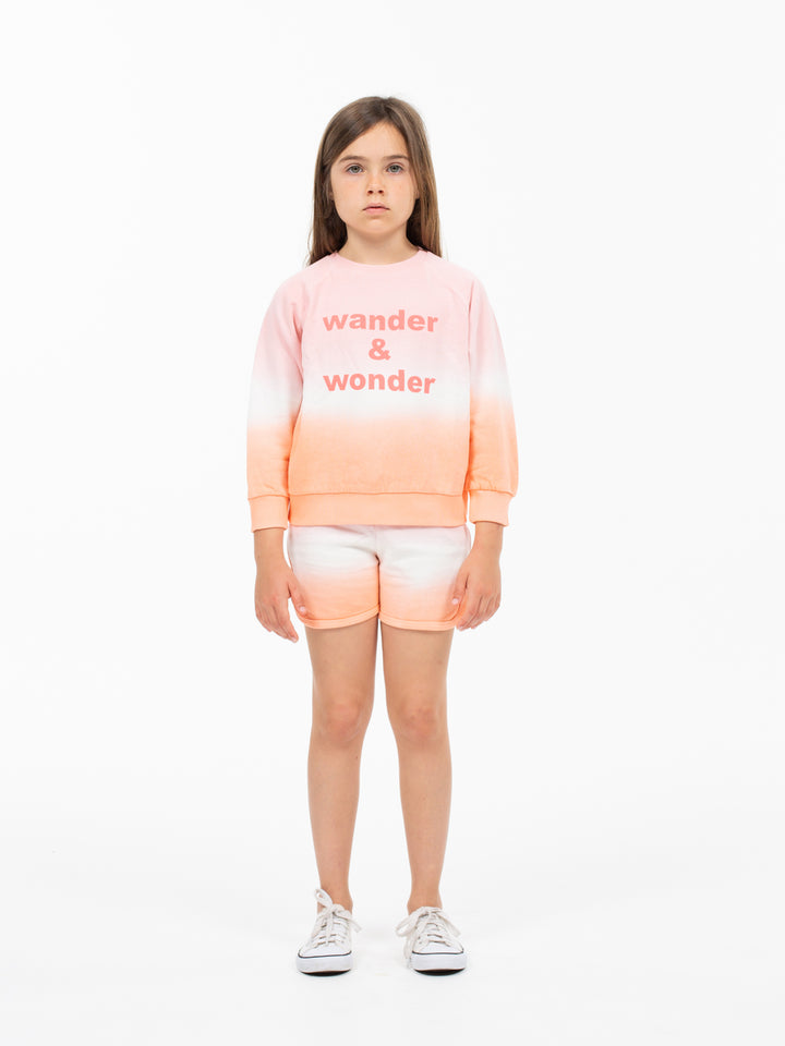 Sweater Ombre Punch