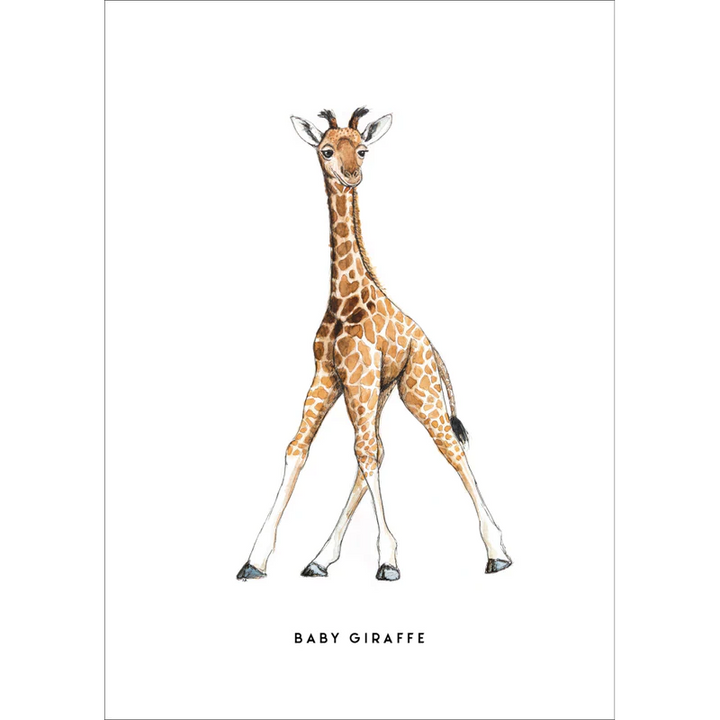 Poster A4 + Posterhangers Baby Giraf