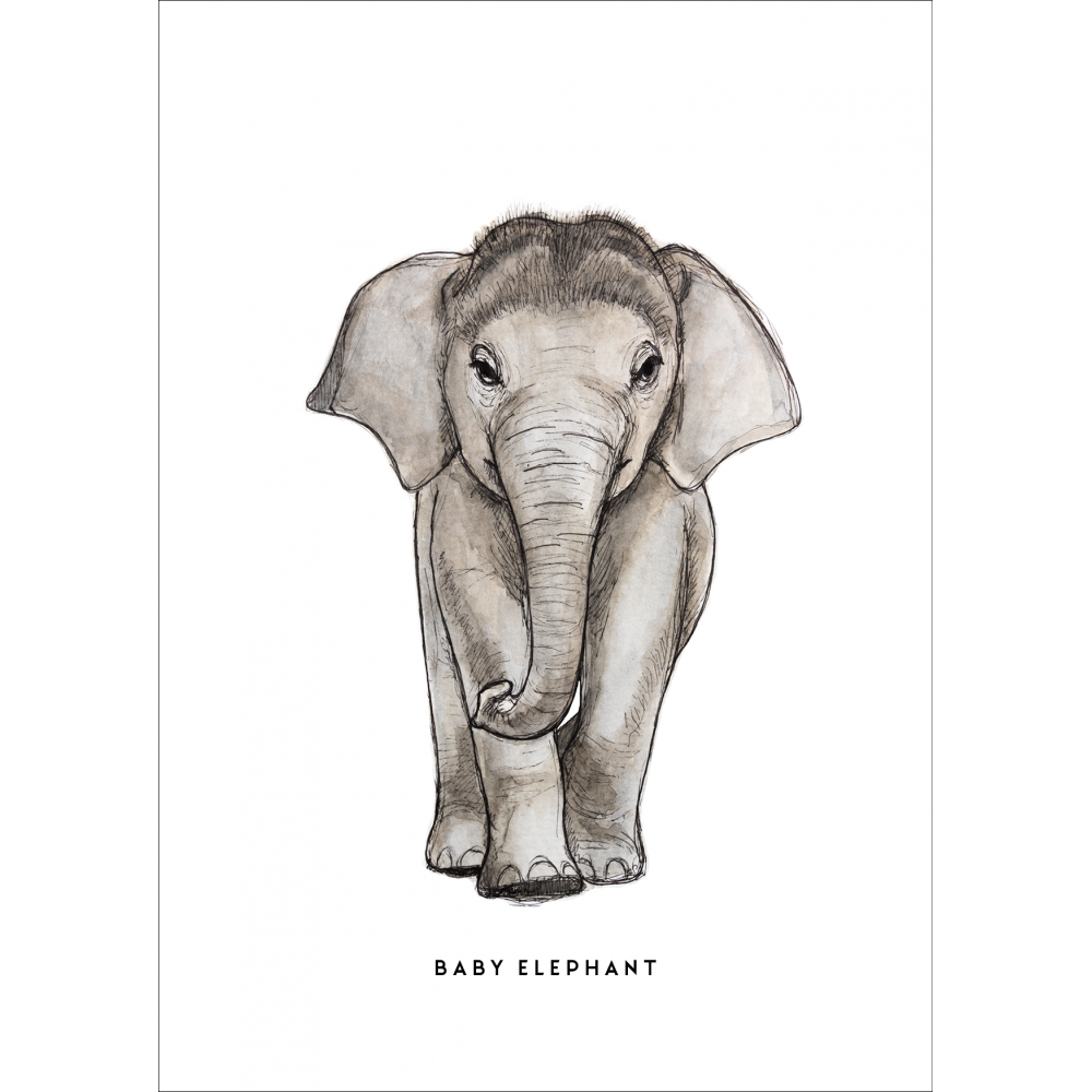 Poster A4 + Posterhangers Baby Olifant