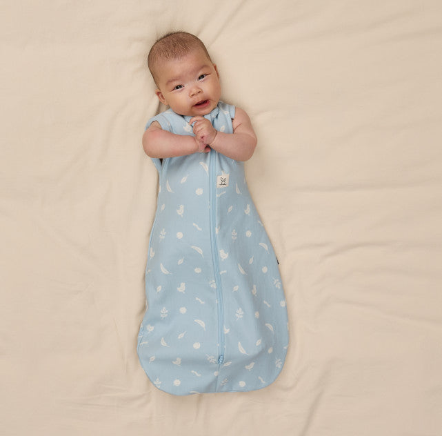 Ergopouch - Slaapzak Tussenseizoen Cocoon 1.0 TOG Ducks | Maat 3-6m