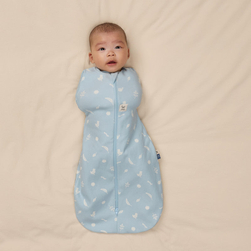 Ergopouch - Slaapzak Tussenseizoen Cocoon 1.0 TOG Ducks | Maat 3-6m