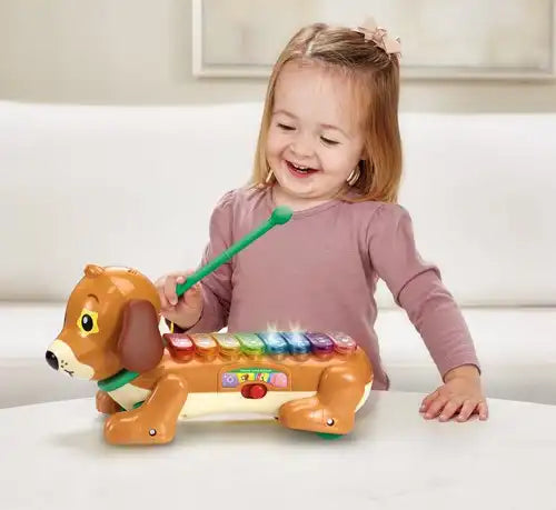 Vtech - Timmie Teckel Xylofoon | Muzikaal Speelgoed