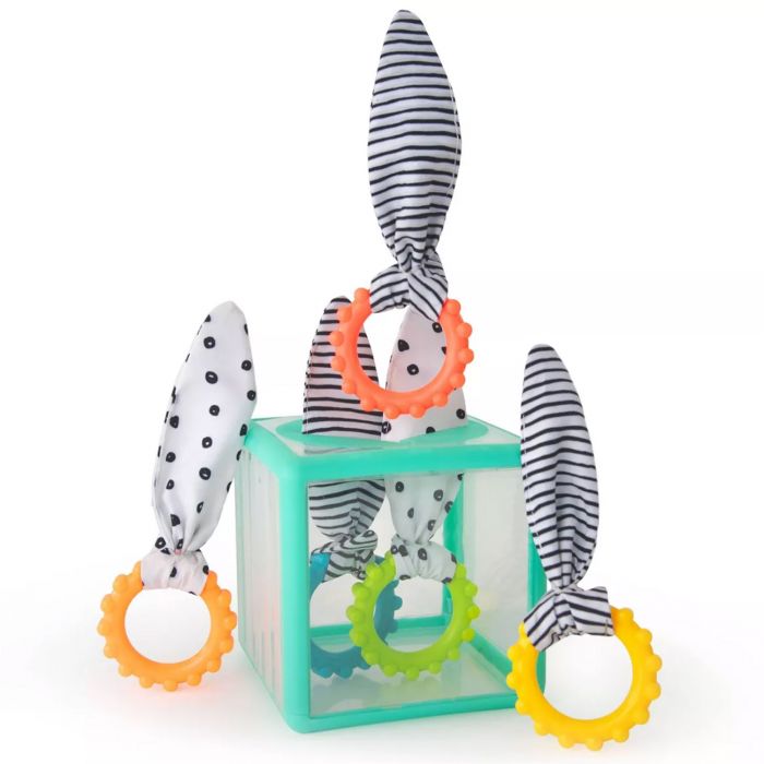 Sassy - Activiteitenkubus Rainbow Ring Drop | Vanaf 12 Maanden