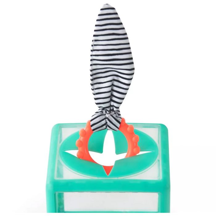 Sassy - Activiteitenkubus Rainbow Ring Drop | Vanaf 12 Maanden