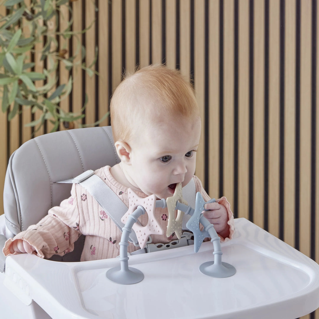 Shnuggle Stick N Play stervormig badspeeltje met zuignap