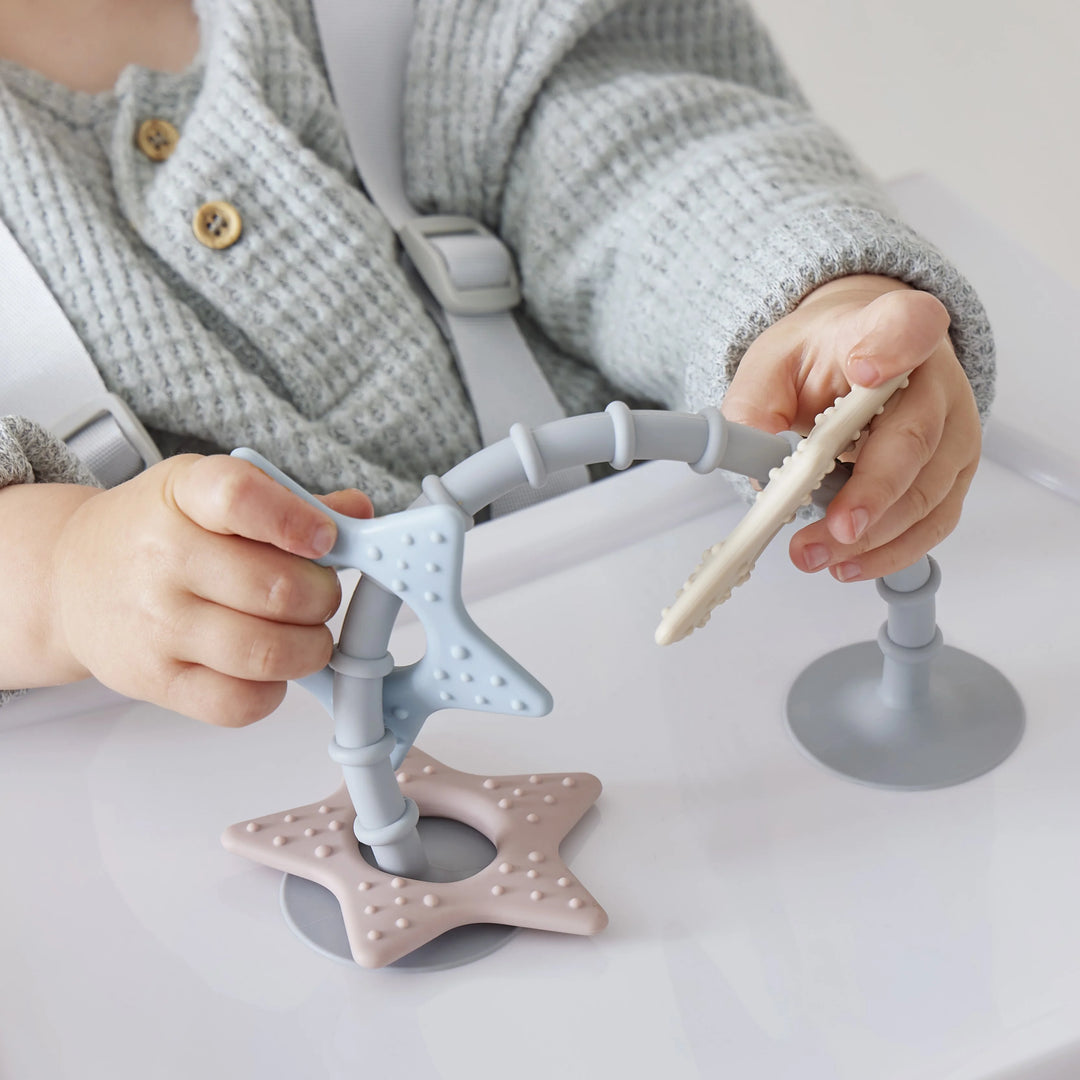 Shnuggle Stick N Play stervormig badspeeltje met zuignap