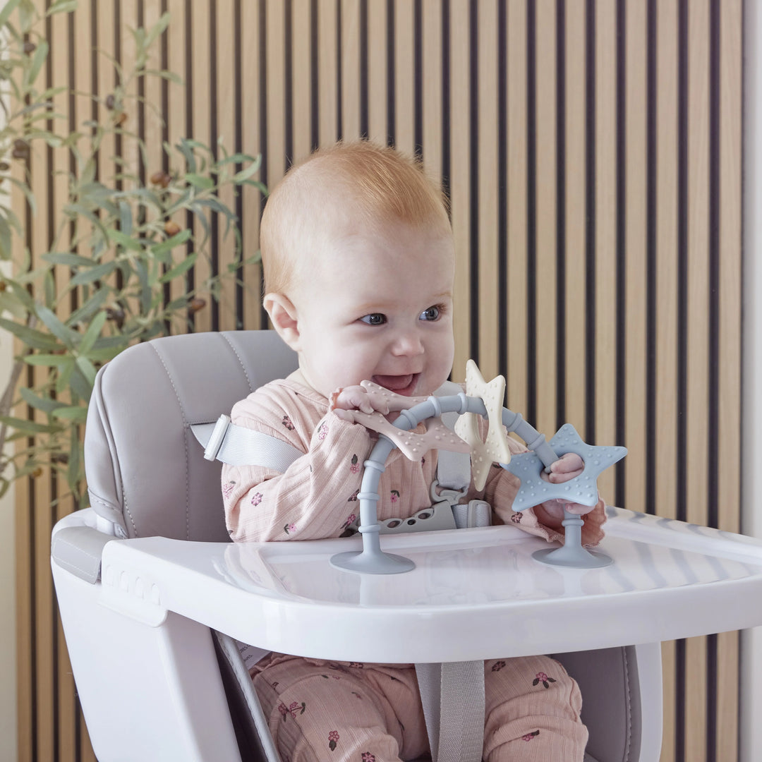 Shnuggle Stick N Play stervormig badspeeltje met zuignap