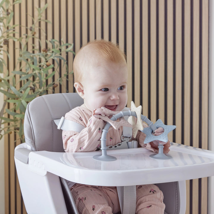 Shnuggle Stick N Play stervormig badspeeltje met zuignap