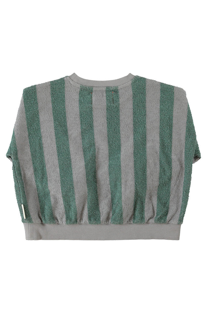 Piupiuchick - Sweatshirt Grey & Green Stripes