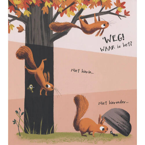 Veltman - Boek De Blaadjesdief