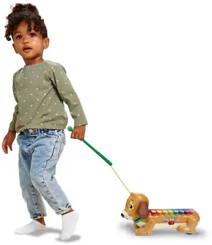 Vtech - Timmie Teckel Xylofoon | Muzikaal Speelgoed